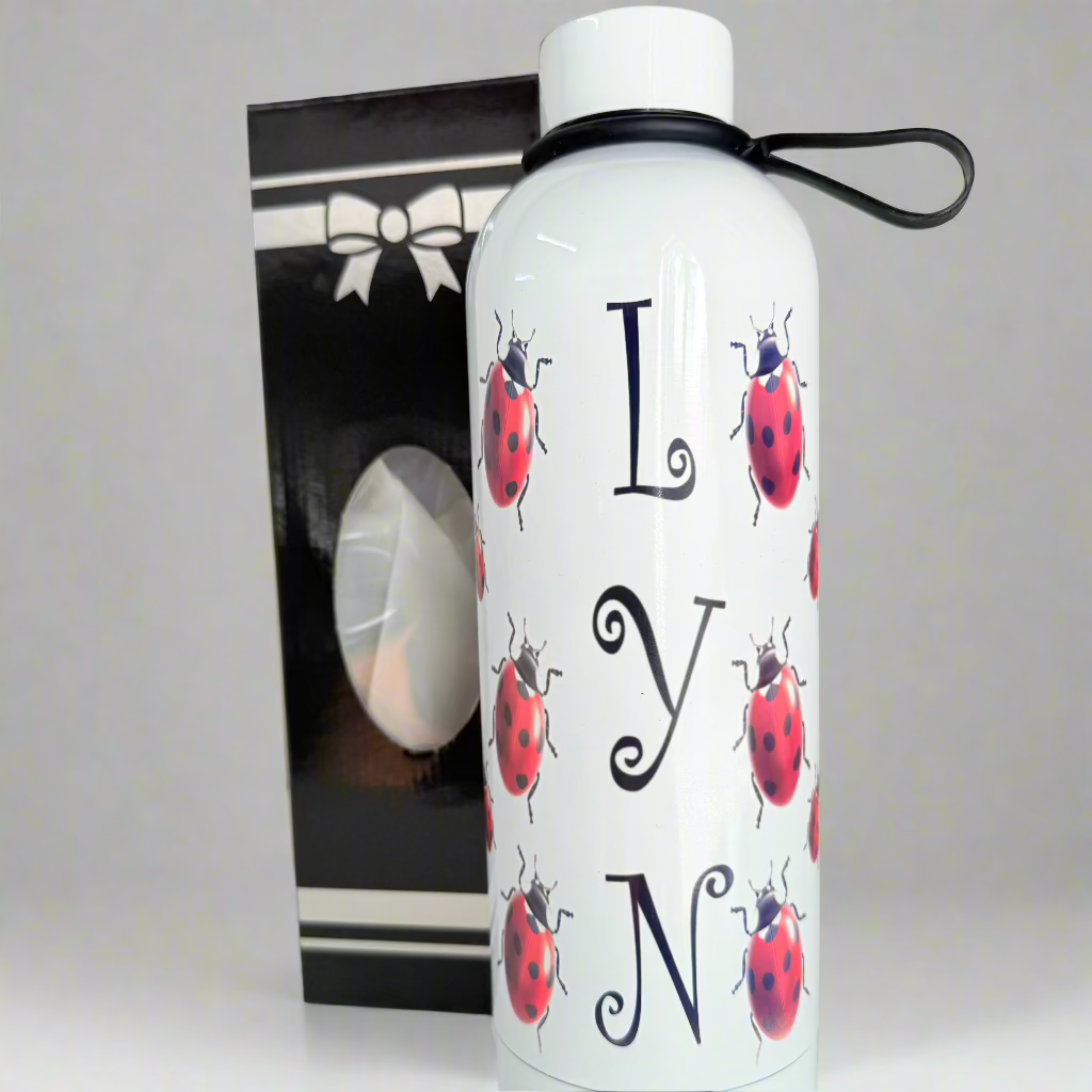 Water Bottle 750ml Stainless Steel