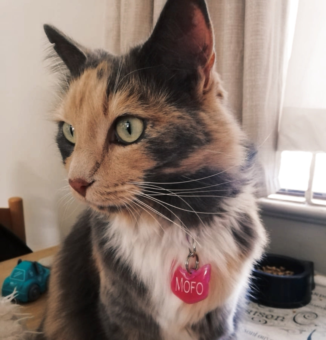 Epoxy Resin Cat Tags