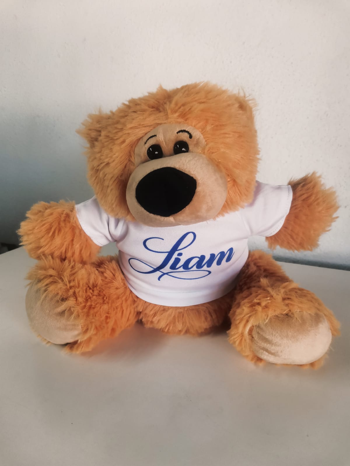 Printed Teddy Bear