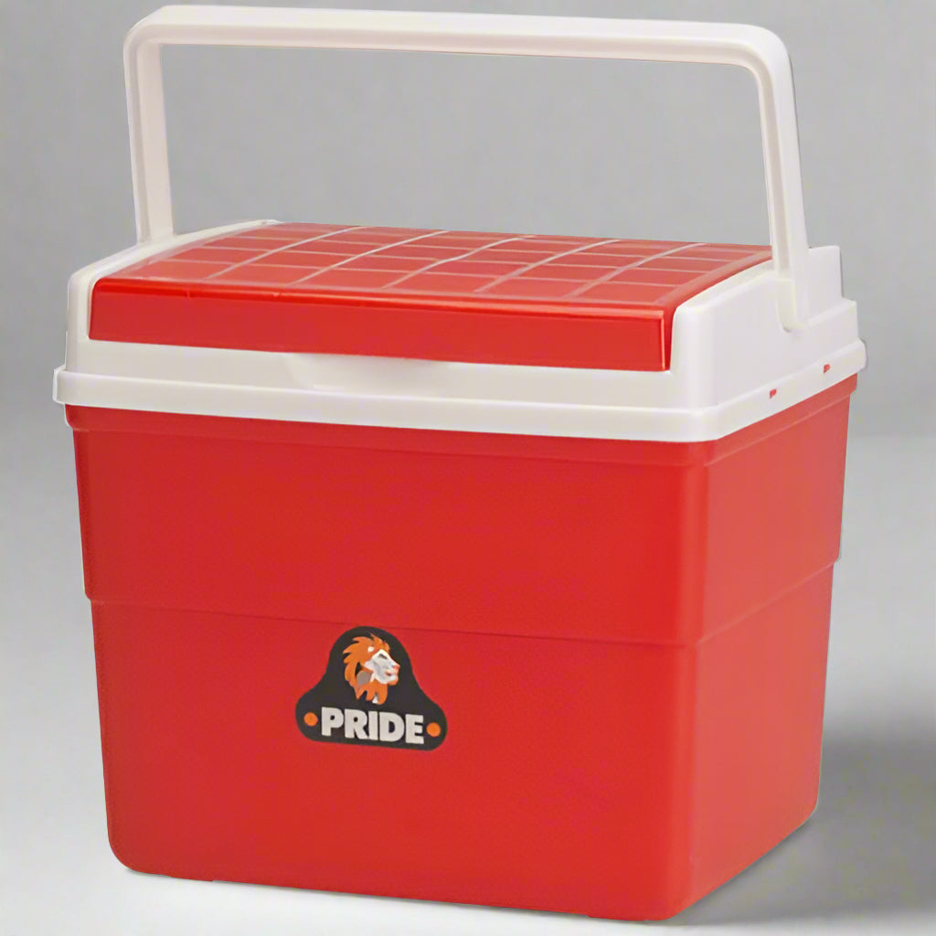 Custom Cooler Box Custom Printed Cooler Box 8L – Ashleigh's Customs
